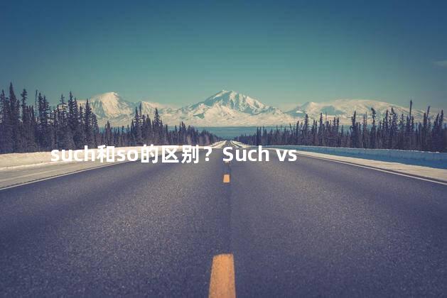 such和so的区别？Such vs So Clearing Up the Confusion in 35 Words